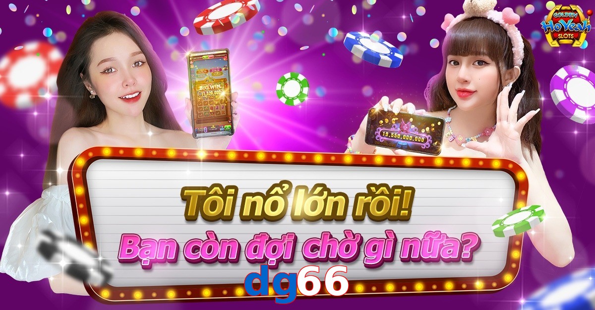 dg66