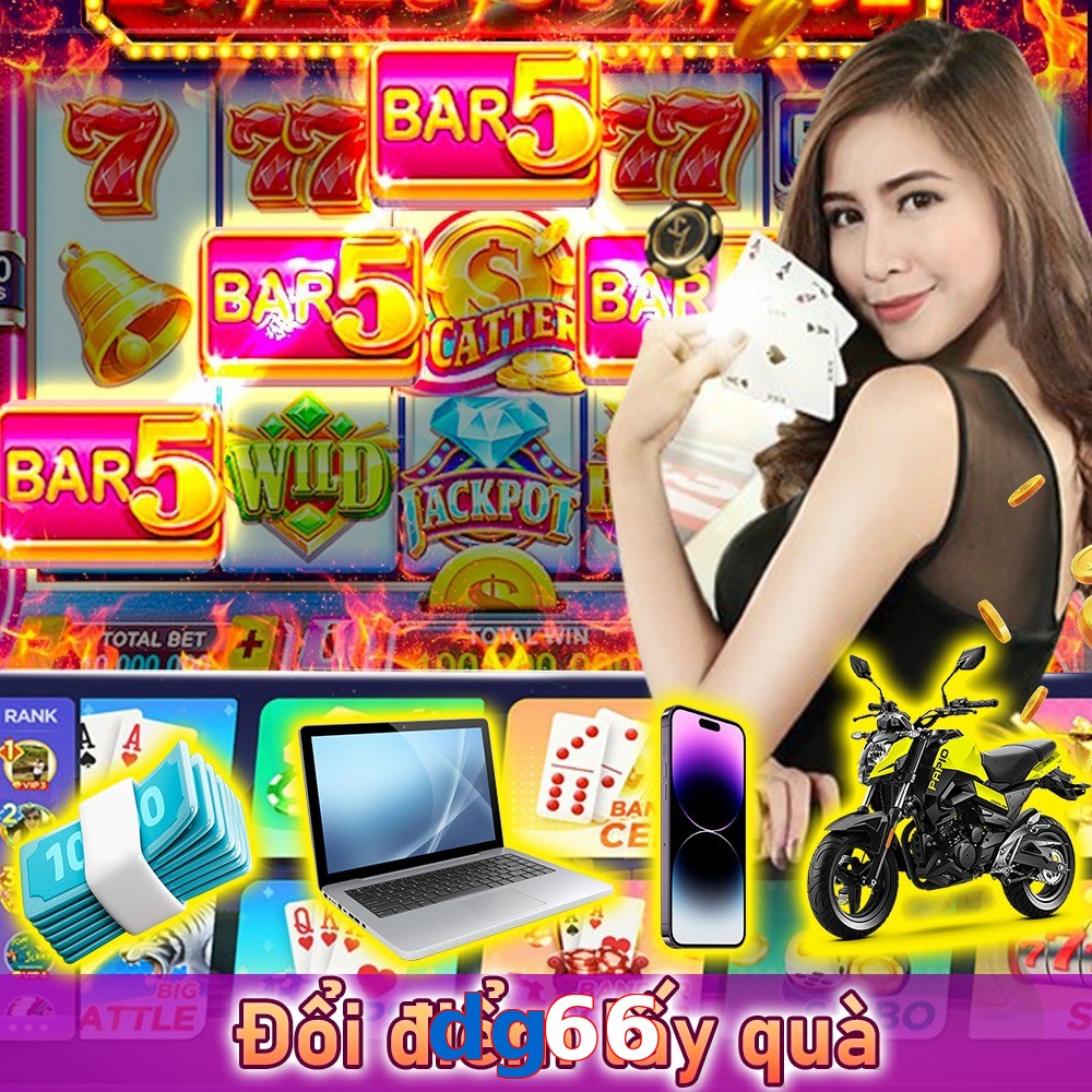 dg66